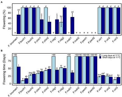 Natural Variation in the Control of Flowering and Shoot Architecture in Diploid Fragaria Species